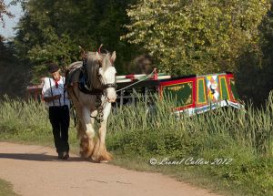 HorseDrawnBargeTiverton_3522.jpg