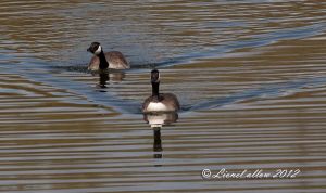 IMG_2486.jpg