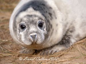 IMG_5761.jpg